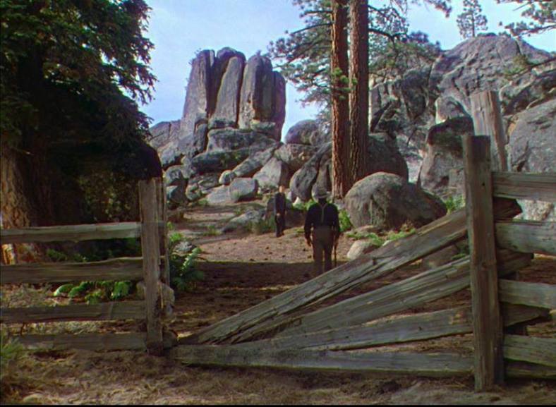 1499971187_14354_FT224600_saras_grave