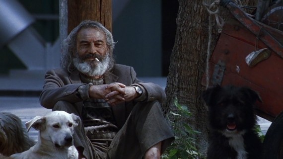 Amores-perros-2000-01-44-18