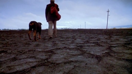 vague-visages-eye-on-inarritu-amores-perros-four