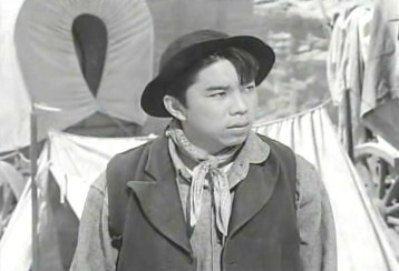 westward-the-women-classic-movies-21941762-693-473