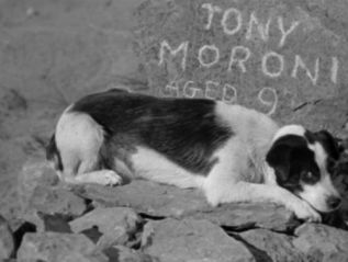 westward_the_women_dog