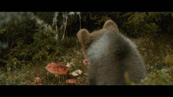 MV5BNDM1YTNkNjMtYzNhOS00NTU2LWI5ODUtMjM0NmUxYmU3MjM1XkEyXkFqcGdeQXVyMjUyNDk2ODc@._V1_SX1777_CR0,0,1777,999_AL_