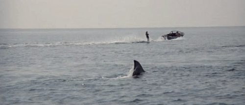 jaws-2-1978-movie-03