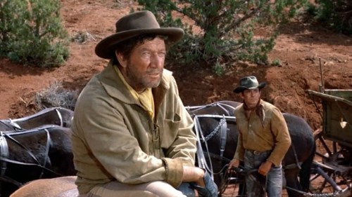 dda49013beb847d396d76f2d0248c044_Snapseed